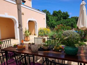 Zahrada ubytování Villa Cesarica Novalja