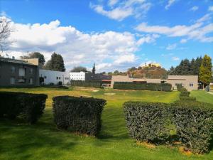 a row of hedges in a yard with buildings at Villas Arqueologicas Cholula in Cholula