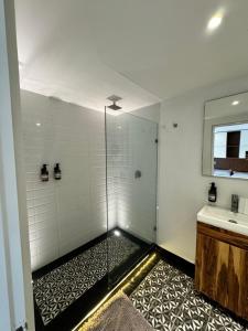 Un baño con ducha con lavabo y espejo. en Calzolli Penthouse Casa de Huéspedes y Coliving, en Ciudad de México 52 fotos más