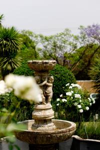 Fotografie z fotogalerie ubytování Little Tuscany Boutique Hotel v destinaci Johannesburg