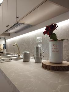 a flower in a pot on a counter in a kitchen at Dimora delle rose in Lecce