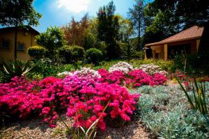 Fotografie z fotogalerie ubytování Little Tuscany Boutique Hotel v destinaci Johannesburg