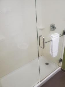 een badkamer met een douche met een glazen deur bij O Daddys in Nashville