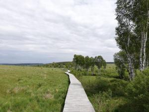 a wooden path through a field with trees at Picture perfect Holiday Home in Sourbrodt with Garden BBQ in Sourbrodt