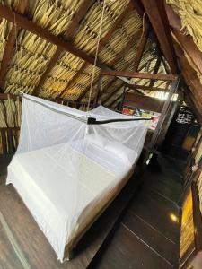 um guarda-chuva pendurado no tecto de um sótão em chill out hostel em Palomino