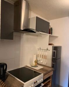 Kuchyň nebo kuchyňský kout v ubytování super cosy Métabief pied piste