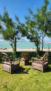 考卡亞的住宿－Vila icarai，两个长椅坐在海滩附近的草地上