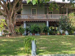 una casa con portico e un albero nel cortile di Coquira Soil Project a Chepo