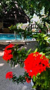 Foto dalla galleria di MAYAN ART Hotel Boutique - 10Th Ave a Playa del Carmen