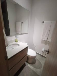 uma casa de banho com um lavatório, um WC e um espelho. em Apartamento cerca a la Playa em Gaira
