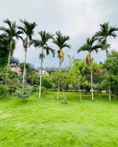 Garður fyrir utan Chitwan Village Resort