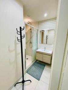 Un baño con ducha, lavabo y espejo. en Stylish, Calm and Green Home Stay, en Saint-Fargeau-Ponthierry