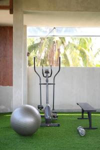 Fitness centrum a/nebo fitness zařízení v ubytování Sanava Balian