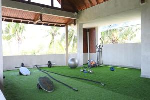 Fitness centrum a/nebo fitness zařízení v ubytování Sanava Balian