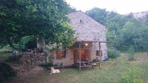 a cat laying in front of a stone house at Maison de Vignes de Tournemire in Tournemire +23 photos