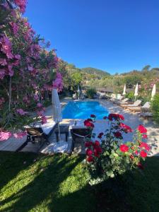 a swimming pool with a table and chairs and flowers at Montenegro Motel in Faralya +43 photos