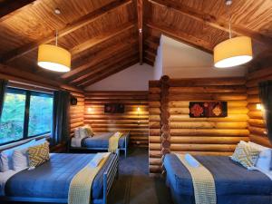 two beds in a room with wooden walls at Rainforest Retreat in Franz Josef