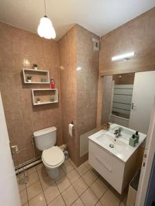 サン・ジュニ・プイイにあるAppartement Cern Geneve Terrasse Station de skiのトイレと洗面台付きのバスルーム +9枚の写真