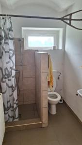 uma casa de banho com um WC, uma janela e um chuveiro em Mill House Apartment and Camping em Ljutomer