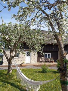 a house with a tree with a hammock in front of it at Loo kodu&köök in Muraste