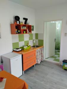 una piccola cucina con lavandino e bancone di Cyclo Apartment Pinki a Bačka Palanka