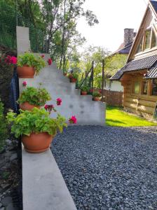 a stairway with potted plants on the side of a house at Domek Pod Tatrami Kościelisko in Kościelisko