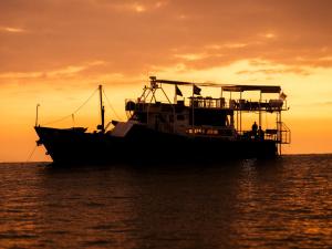 Soloppgangen eller solnedgangen sett fra båten eller i nærheten