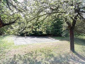 Fotografie z fotogalerie ubytování Pine Grove Villa v destinaci Gödöllő