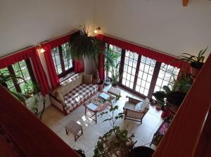 a living room with a couch and some plants at Pine Grove Villa in Gödöllő