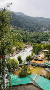 マナリにあるHimalayan Village Resort, Manaliの木々の町の川の眺め