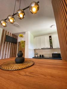 Majoituspaikan Elena Apartman keittiö tai keittotila