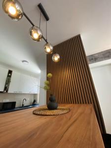 Kuvagallerian kuva majoituspaikasta Elena Apartman, joka sijaitsee kohteessa Divčibare
