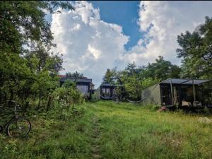 rower zaparkowany na polu z domami w obiekcie Riverfront Cabins in the garden w Poznaniu