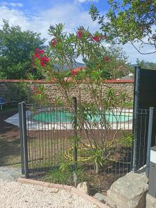 Une clôture avec un arbre aux fleurs roses derrière elle dans l'établissement Gîte de charme la belle histoire, à Prades