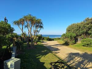 un camino que conduce a una playa con una palmera en Sea Breeze Apartments, en Port Alfred