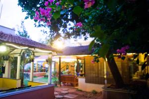 班加羅爾的住宿－卡薩小屋酒店，紫色花房前的树