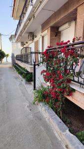a bush of red flowers on the side of a building at Prinos Mare in Prinos