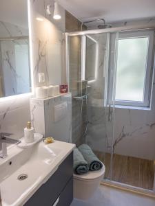 a bathroom with a shower and a toilet and a sink at Pebble Bay Paradise House in Vela Luka