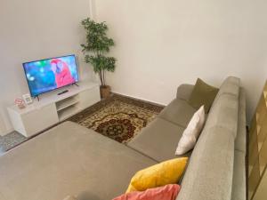 uma sala de estar com um sofá e uma televisão de ecrã plano em Apartamento Padrón Centro, Camino De Santiago P2 UR em Padrón