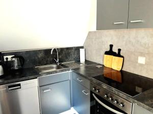 a kitchen with a stove and a sink with two bottles at Seyfarthrooms - Crimmitschau 3 - zentrale Lage, gute Anbindung, voll ausgestattet in Crimmitschau