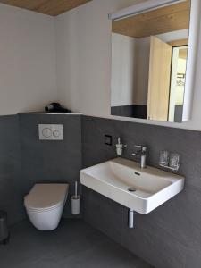 阿德爾博登的住宿－BnB Fellacher，一间带水槽、卫生间和镜子的浴室