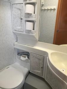 a bathroom with a toilet and a sink and a mirror at Komfort-Caravan mit Vorzelt in Loitz