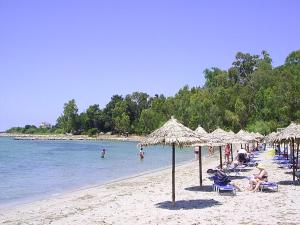 Φωτογραφία από το άλμπουμ του Appartment Enjoy Sea View στην Πρέβεζα