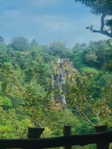 a view of a lush green hillside with a waterfall at Ella Jungle Cottage in Ella