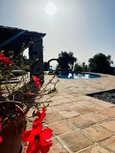 a stone pathway with red flowers next to a swimming pool at Poolhouse with private pool 360 degrees views over pure nature in Alozaina