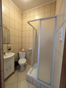 a bathroom with a toilet and a shower at WILLA ELITA in Krynica Morska