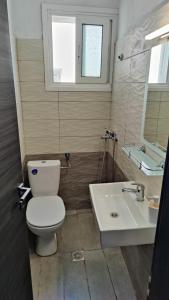 a bathroom with a toilet and a sink at Paschalitsa Rooms in Prinos