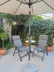 Um jardim em Alkistis House