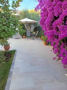 Um jardim em Alkistis House