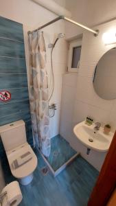 a bathroom with a toilet and a sink at Emilios Eleni studios in Nydri +48 photos